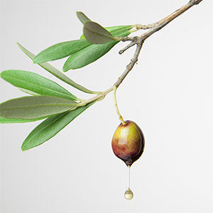How to Use Olive Oil on Your Skin